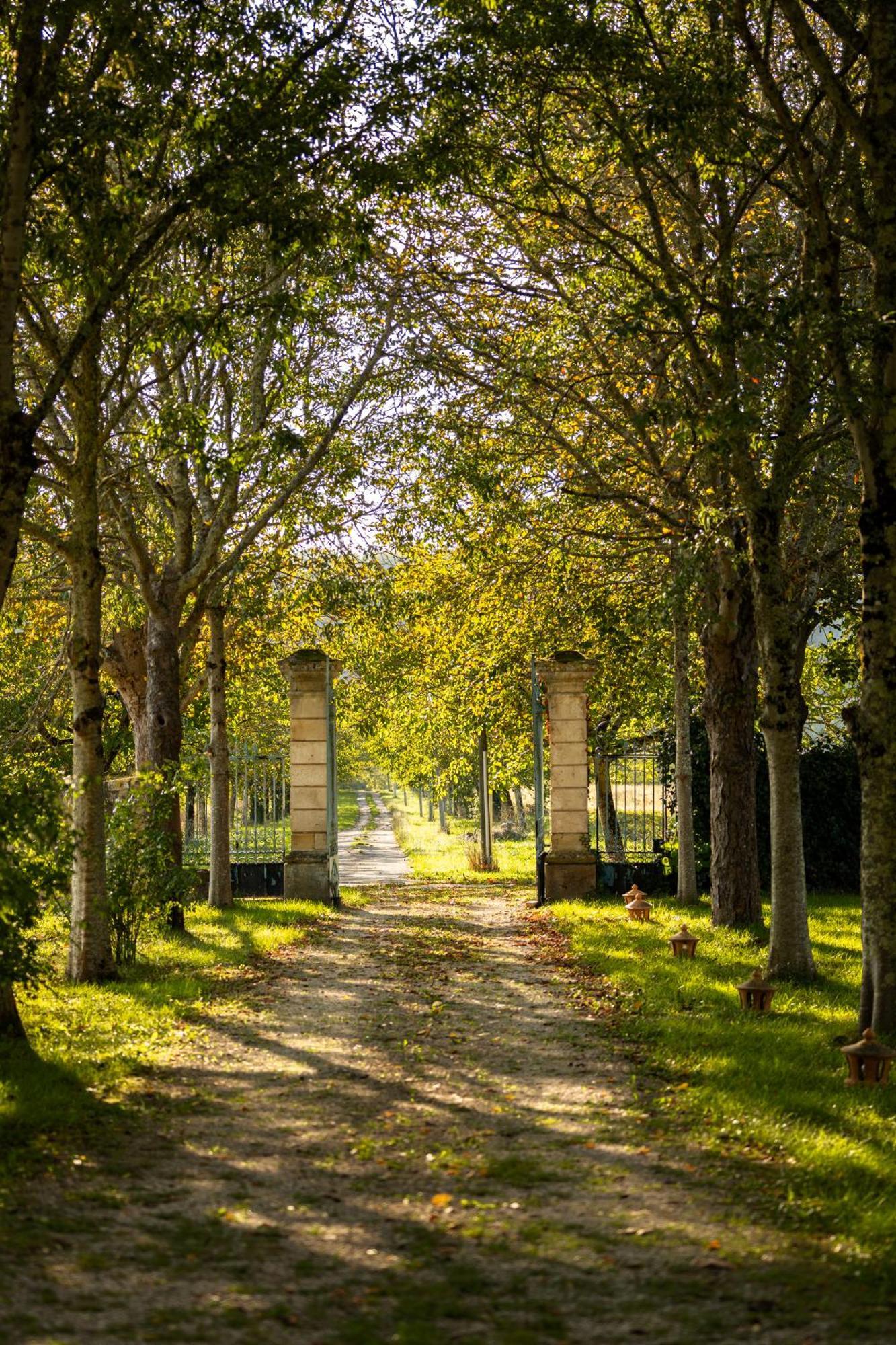 Chateau La Gineste - Castle And Vineyard Duravel Dış mekan fotoğraf