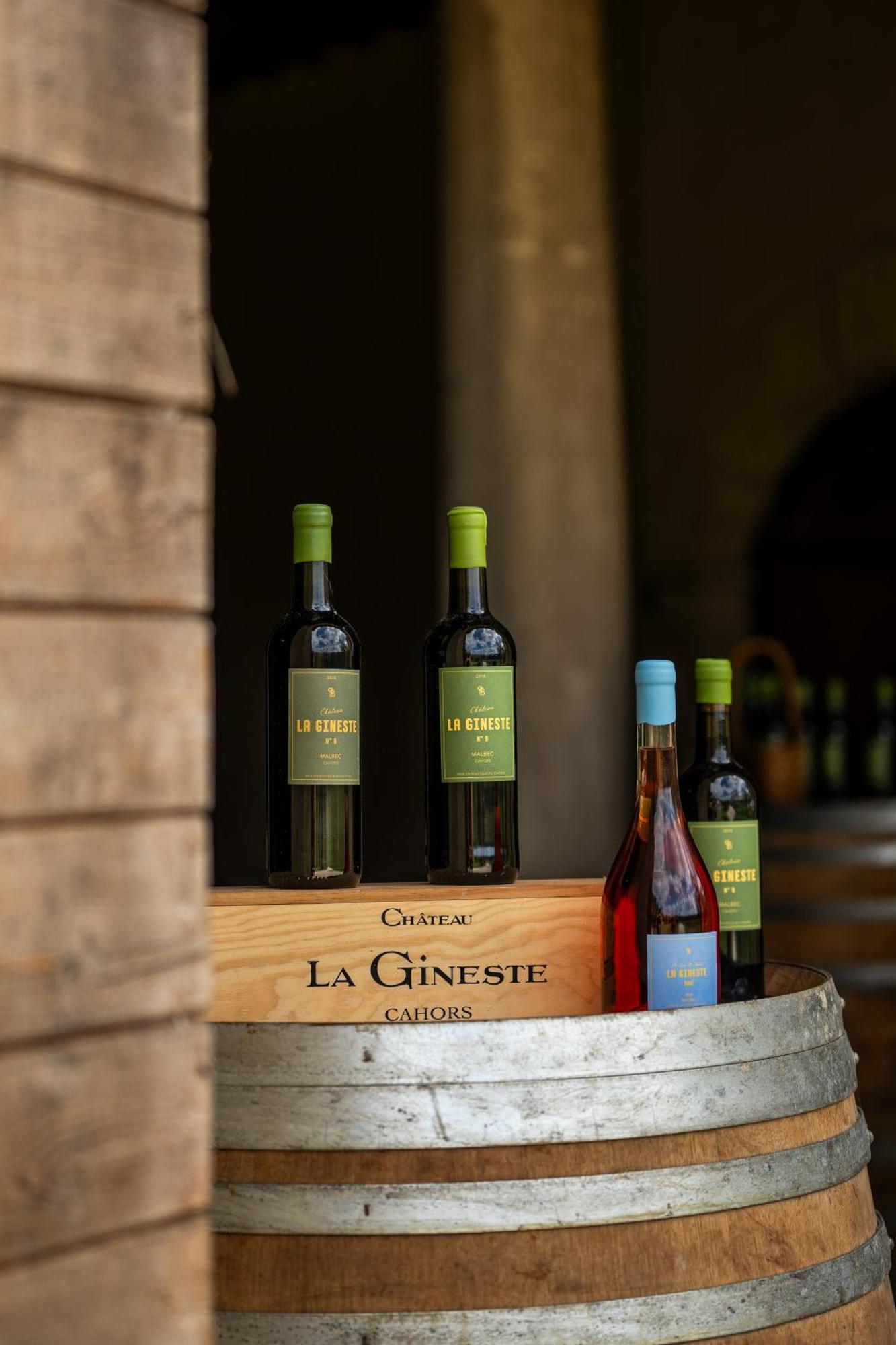 Chateau La Gineste - Castle And Vineyard Duravel Dış mekan fotoğraf