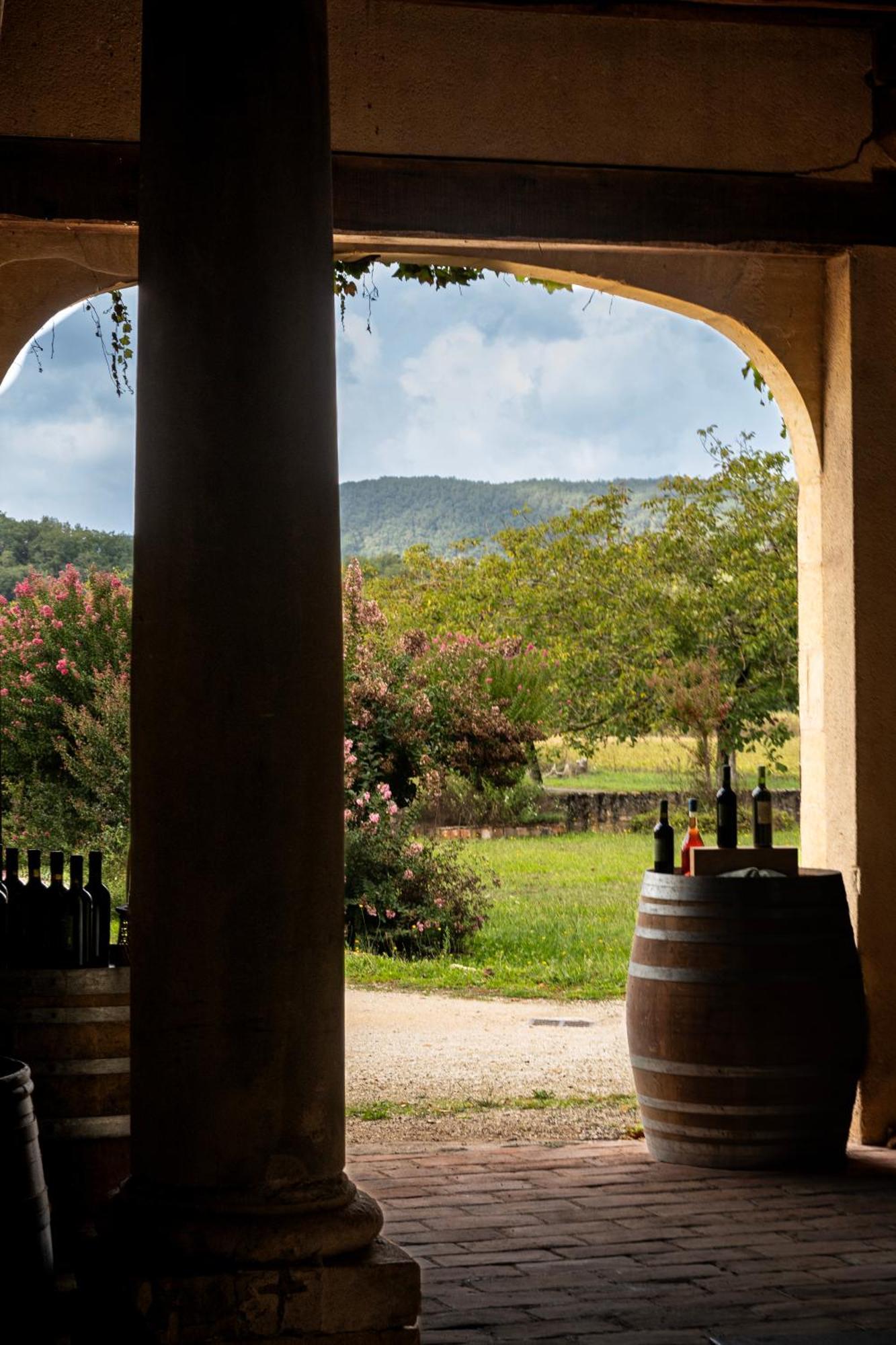 Chateau La Gineste - Castle And Vineyard Duravel Dış mekan fotoğraf